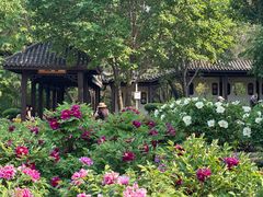-黑龙江省森林植物园