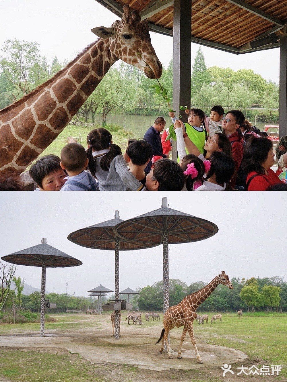 人生第一次 春游大作战