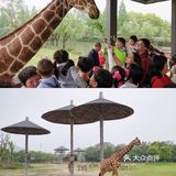 人生第一次 春游大作战