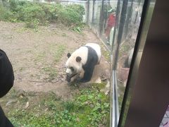 -黔灵山公园