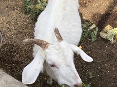 -上膳源有机农场