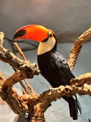 -Zoolung Zoolung动物主题公园(海信广场店)