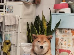 -小时光咖啡馆(北锣鼓巷店)