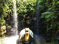 -深圳仙湖植物园
