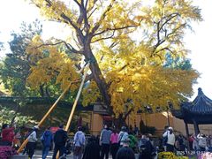 -无锡惠山寺
