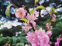 -中央民族大学