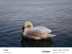-北龙湖湿地公园