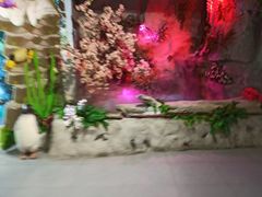 -常州海昌海洋探索馆