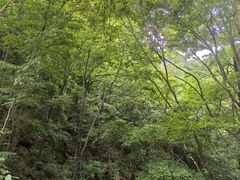 -龙峪湾国家森林公园