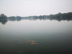 -苏堤停车场