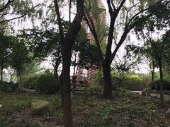 -昆山城市生态森林公园