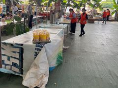 -麻涌飞鸭开心农场