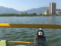 -飞来湖湿地公园