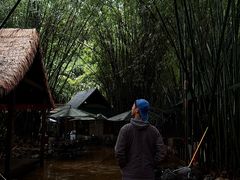 -勐丽梦兰傣味餐厅