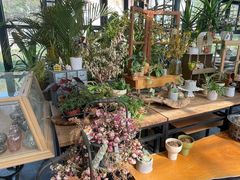-北马山庄植趣咖啡