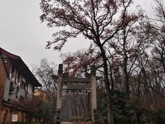 -灵谷景区