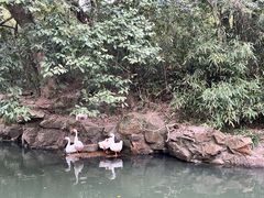 -兰亭风景区