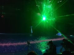 -芜湖新华联大白鲸海洋公园