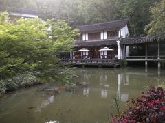 -龙井村