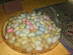 GEDC1427-上海昆虫博物馆