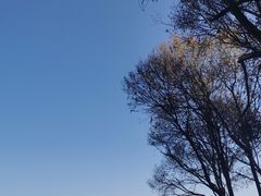 -大理洱海