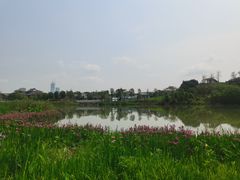 -海珠湖公园