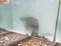 -金滏山烤肉·海鲜·火锅自助餐厅(襄阳万达店)