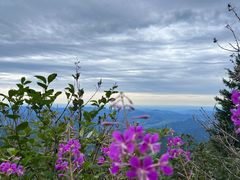 -白草畔自然风景区