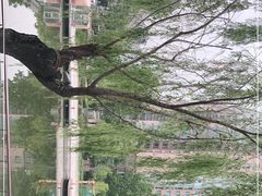 -Fiume福弥意大利餐厅
