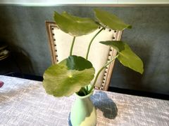 -野蔓果·山野菜(西湖景区·龙井茶田店)