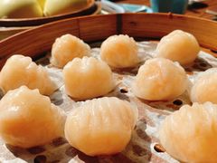 佬港虾饺皇-佬港味粤味小馆(锦艺城店)