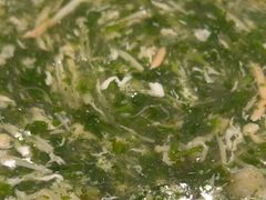-三凤酒家·百年无锡菜(清扬茂业店)