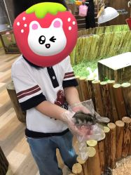-七巧国萌宠乐园(龙湖天街店)