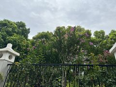 -堤角公园