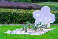 -伊莎贝拉婚礼庄园(顾村店)