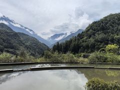 -卧龙中华大熊猫苑神树坪基地