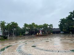 -呀诺达热带雨林
