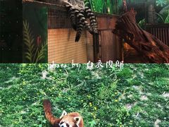 -西安秦岭野生动物园