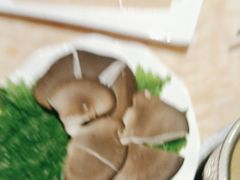 -清真军邺·金富苑肥牛(石坡街旗舰店)