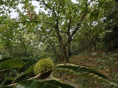 -天目湖涵田度假村
