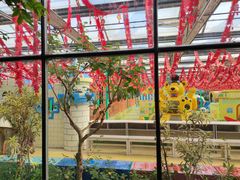 -南宫五洲植物乐园