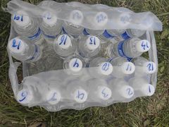 -亲兄弟真人CS团建拓展基地