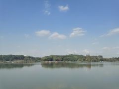 -昆山城市生态森林公园