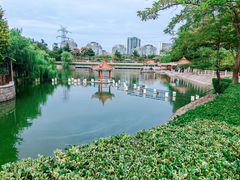 -北岭山森林公园