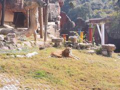 -无锡动物园·太湖欢乐园