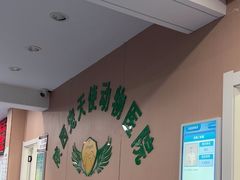 -天使宠物医院·犬猫分诊(彩虹店)