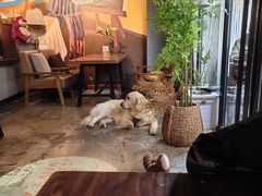 -咖法森林·咖啡  酒吧(天河店)