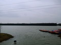 -上海海湾国家森林公园