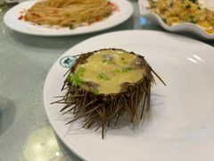 海胆蒸蛋-蓬莱春(芝罘店)