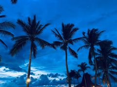 -Sunset Bar(丹绒亚路香格里拉店)